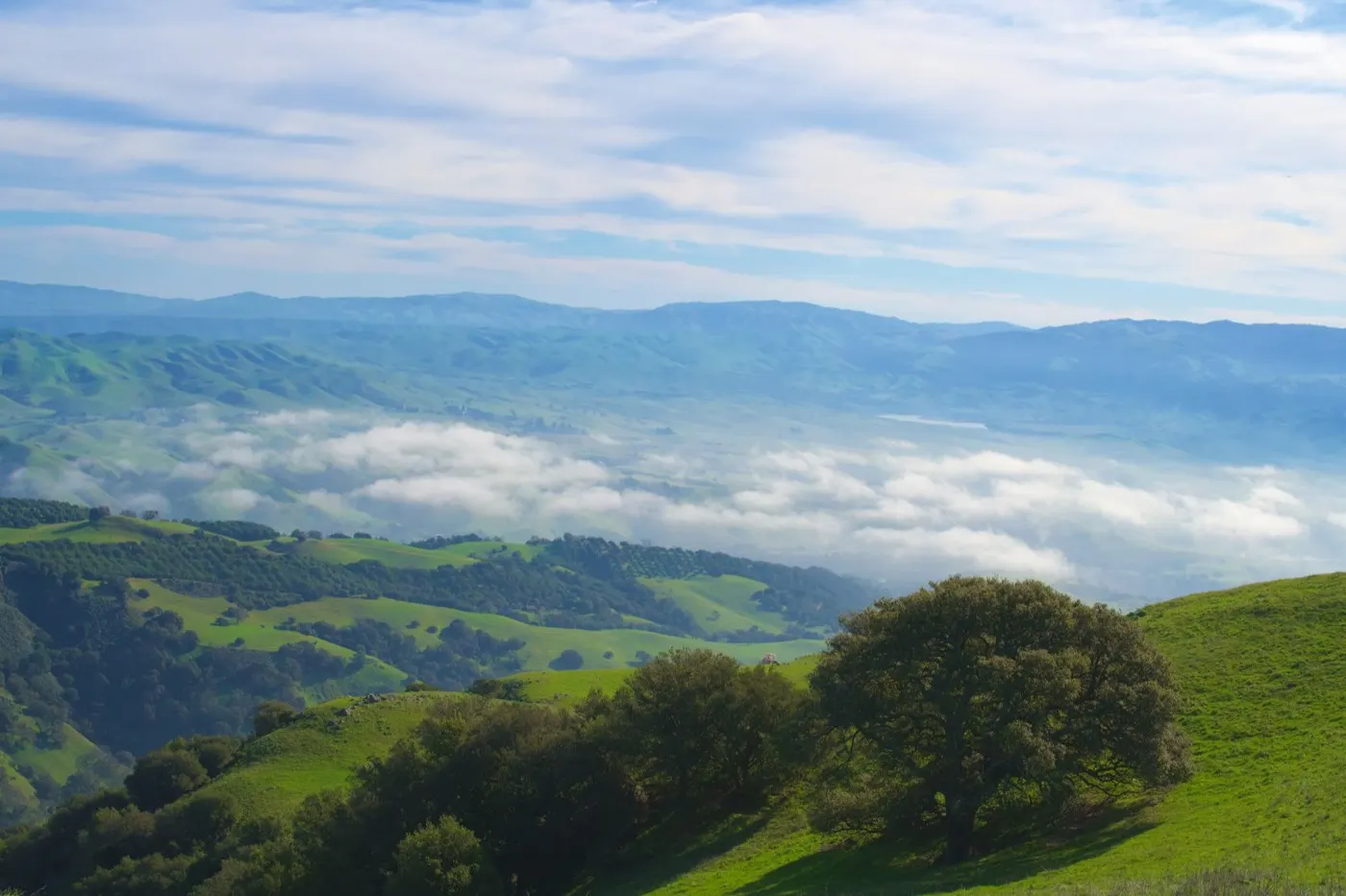 Morning mist lifting over the green folds of the valley
